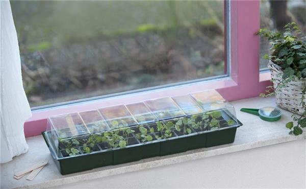 Mini serre pour rebord fenêtre 49*15*H10cm - Central Jardin