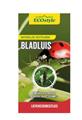 Coccinelles (Adalia) contre pucerons 100 larves Ecostyle BIO