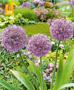 Allium Party Balloons  * 1 pc 16/18 * NEW 2024