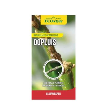 Metaphycus flavus contre la cochenille 25 st-pcs Ecostyle BIO