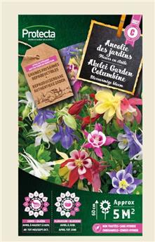 Ancolie des jardins double (Protecta)