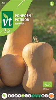 Potiron Butternut (*) BIO (VT)